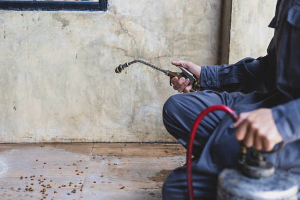 Best Affordable Pest Control Services  in Miramar Beach, FL
